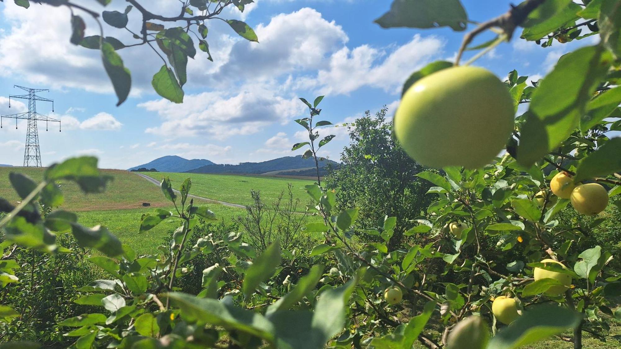 Domek Pod Jabloni Tichá Eksteriør billede